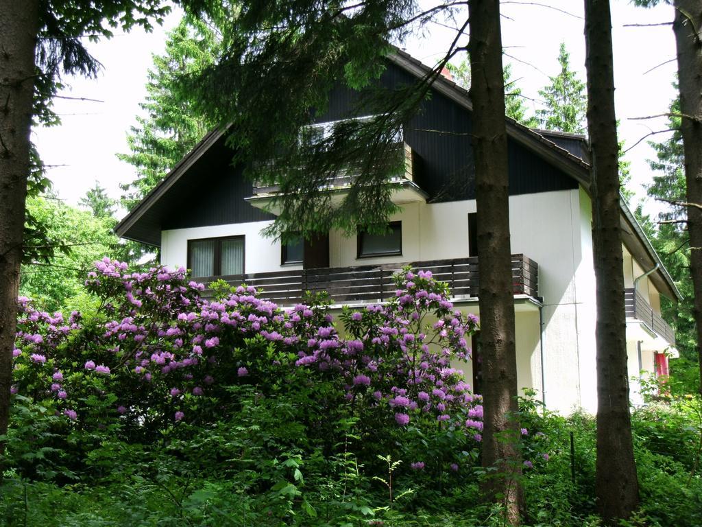 Haus Hirschmann Hotel Goslar Exterior foto